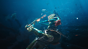 aquaman29799.jpg