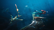 aquaman29803.jpg