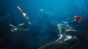 aquaman29806.jpg