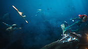 aquaman29808.jpg