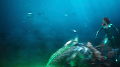 aquaman29816.jpg