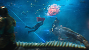 aquaman29888.jpg