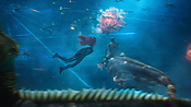 aquaman29890.jpg
