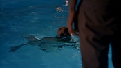 Filename=criminalminds118_07940.jpg
Filesize=795KiB
Dimensions=1920x1080
Date added=Apr 04, 2021 criminalminds118_07940.jpg