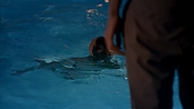 Filename=criminalminds118_07942.jpg
Filesize=829KiB
Dimensions=1920x1080
Date added=Apr 04, 2021 criminalminds118_07942.jpg