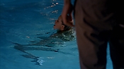 Filename=criminalminds118_07961.jpg
Filesize=860KiB
Dimensions=1920x1080
Date added=Apr 04, 2021 criminalminds118_07961.jpg