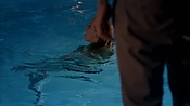Filename=criminalminds118_07964.jpg
Filesize=864KiB
Dimensions=1920x1080
Date added=Apr 04, 2021 criminalminds118_07964.jpg