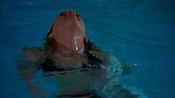 criminalminds118_08177.jpg