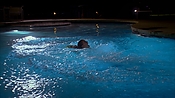 criminalminds118_08362.jpg