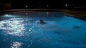 criminalminds118_08370.jpg