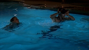Filename=criminalminds118_08586.jpg
Filesize=966KiB
Dimensions=1920x1080
Date added=Apr 04, 2021 criminalminds118_08586.jpg