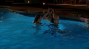 criminalminds118_08710.jpg