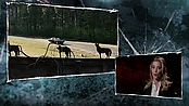 Filename=driveangry_access_1083.jpg
Filesize=563KiB
Dimensions=1920x1080
Date added=Jan 16, 2023 driveangry_access_1083.jpg