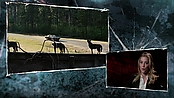 Filename=driveangry_access_1084.jpg
Filesize=564KiB
Dimensions=1920x1080
Date added=Jan 16, 2023 driveangry_access_1084.jpg