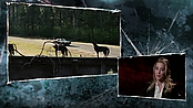 Filename=driveangry_access_1091.jpg
Filesize=542KiB
Dimensions=1920x1080
Date added=Jan 16, 2023 driveangry_access_1091.jpg