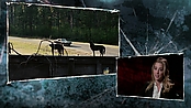 Filename=driveangry_access_1094.jpg
Filesize=541KiB
Dimensions=1920x1080
Date added=Jan 16, 2023 driveangry_access_1094.jpg
