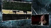Filename=driveangry_access_1097.jpg
Filesize=529KiB
Dimensions=1920x1080
Date added=Jan 16, 2023 driveangry_access_1097.jpg