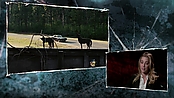 Filename=driveangry_access_1098.jpg
Filesize=531KiB
Dimensions=1920x1080
Date added=Jan 16, 2023 driveangry_access_1098.jpg