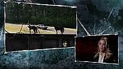 Filename=driveangry_access_1099.jpg
Filesize=528KiB
Dimensions=1920x1080
Date added=Jan 16, 2023 driveangry_access_1099.jpg