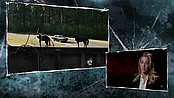 Filename=driveangry_access_1101.jpg
Filesize=516KiB
Dimensions=1920x1080
Date added=Jan 16, 2023 driveangry_access_1101.jpg