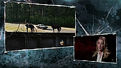 Filename=driveangry_access_1102.jpg
Filesize=517KiB
Dimensions=1920x1080
Date added=Jan 16, 2023 driveangry_access_1102.jpg