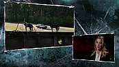 Filename=driveangry_access_1103.jpg
Filesize=521KiB
Dimensions=1920x1080
Date added=Jan 16, 2023 driveangry_access_1103.jpg