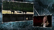 Filename=driveangry_access_1104.jpg
Filesize=522KiB
Dimensions=1920x1080
Date added=Jan 16, 2023 driveangry_access_1104.jpg