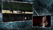 Filename=driveangry_access_1107.jpg
Filesize=516KiB
Dimensions=1920x1080
Date added=Jan 16, 2023 driveangry_access_1107.jpg