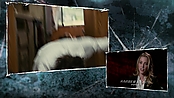 driveangry_access_2352.jpg