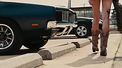 driveangry02384.jpg