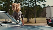 driveangry02468.jpg