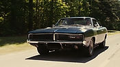 driveangry02781.jpg