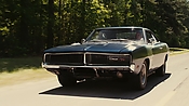 driveangry02782.jpg