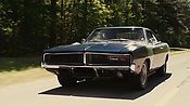 driveangry02783.jpg