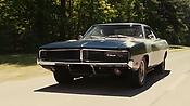 driveangry02788.jpg