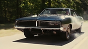 driveangry02810.jpg