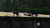 driveangry02892.jpg