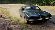 driveangry02981.jpg