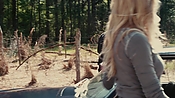 driveangry04028.jpg