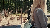 driveangry04029.jpg