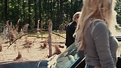 driveangry04030.jpg