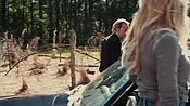 driveangry04032.jpg