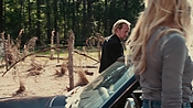 driveangry04033.jpg