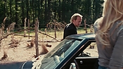 driveangry04038.jpg