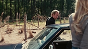 driveangry04039.jpg