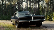 driveangry04346.jpg
