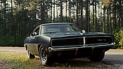 driveangry04355.jpg
