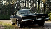 driveangry04357.jpg