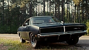 driveangry04358.jpg