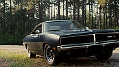driveangry04362.jpg